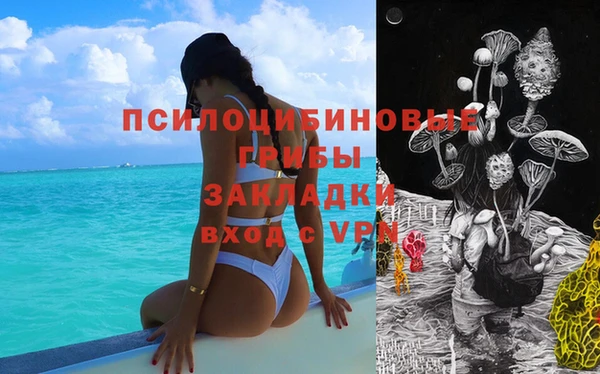 эйфоретик Арсеньев