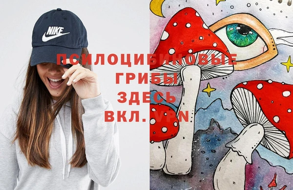 прущая мука Аркадак