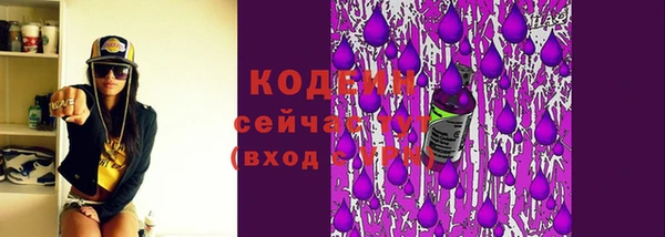 эйфоретик Арсеньев
